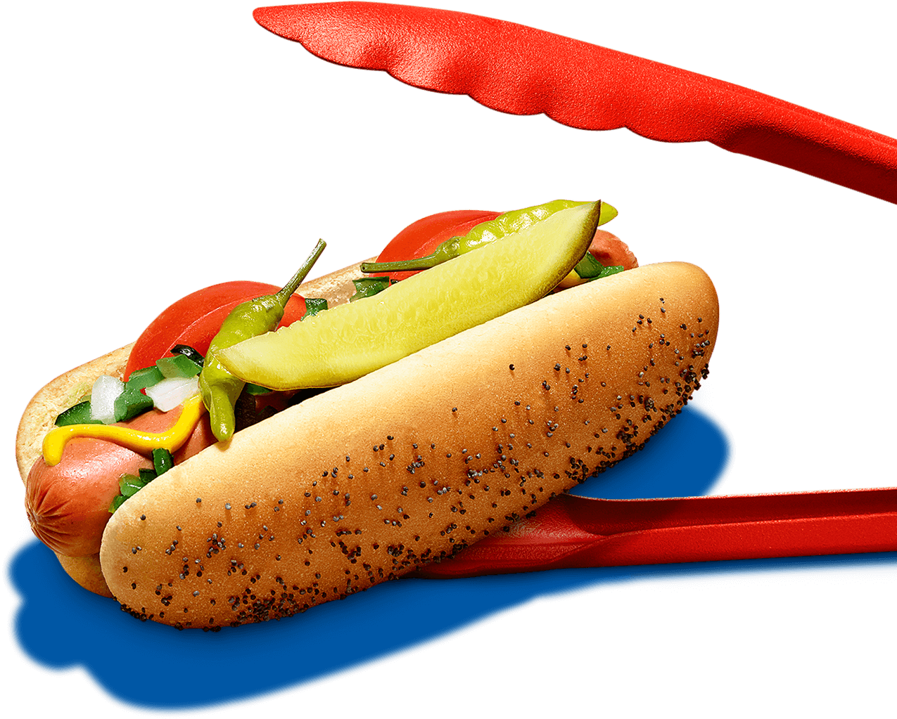 Chicago Dog